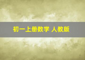 初一上册数学 人教版